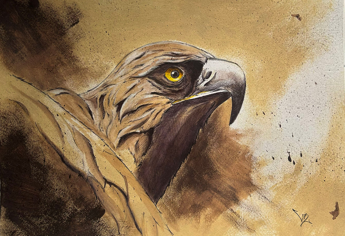 Un águila