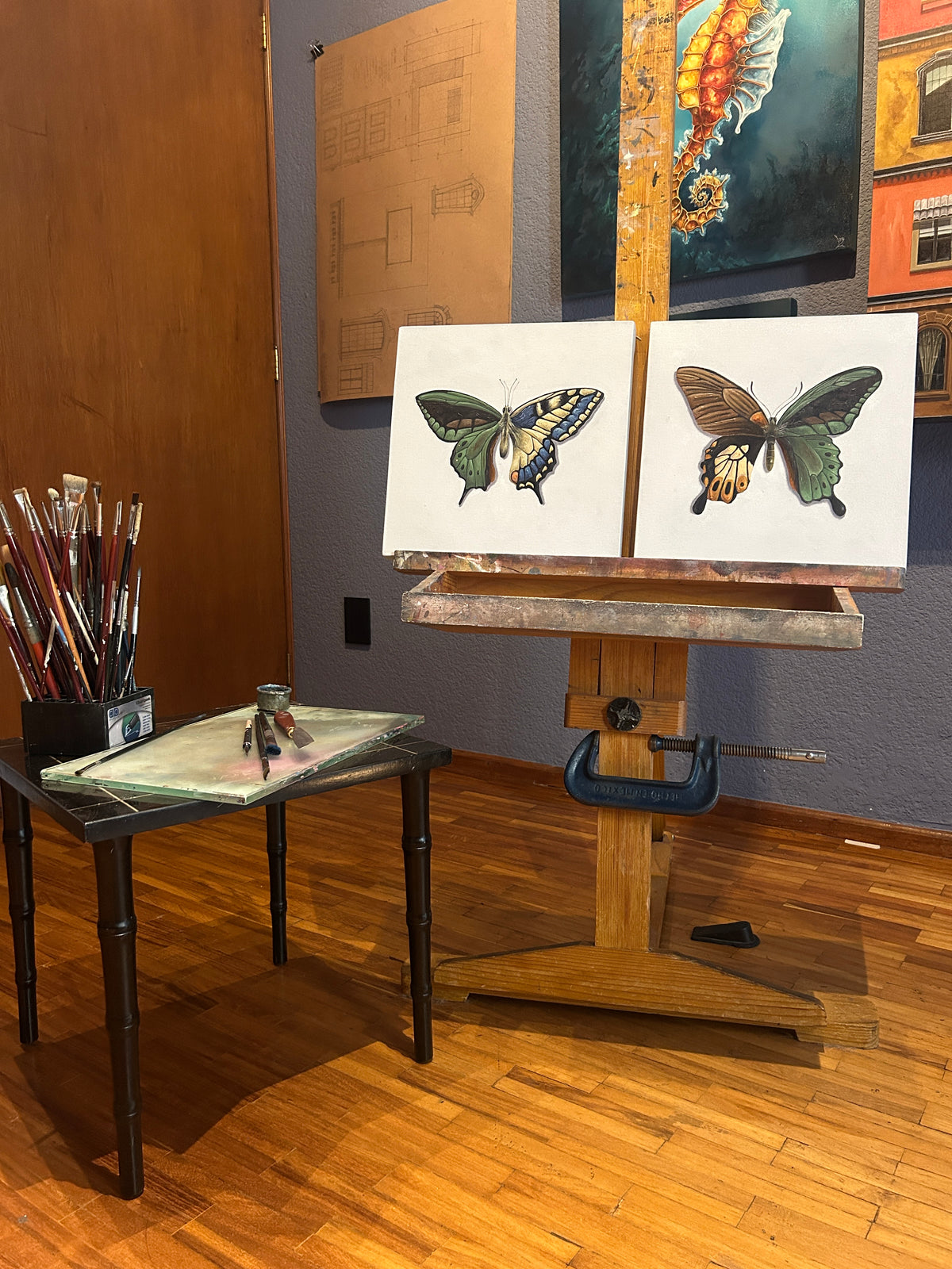 Mariposas
