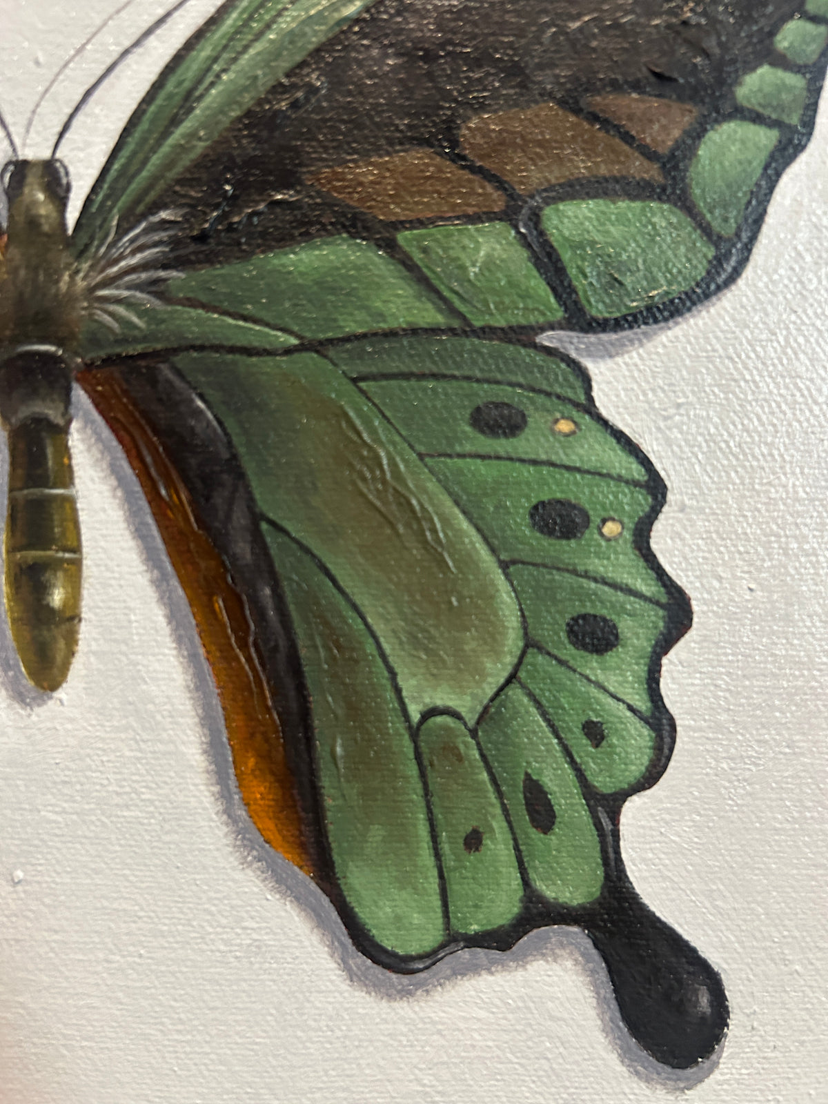 Mariposas
