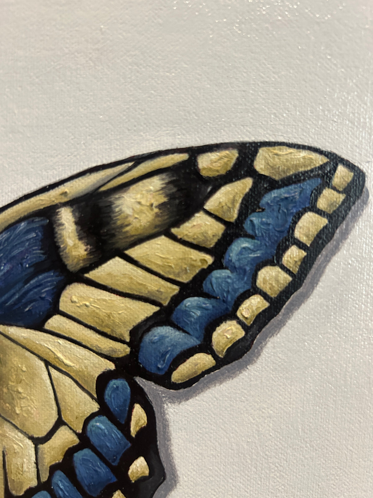 Mariposas