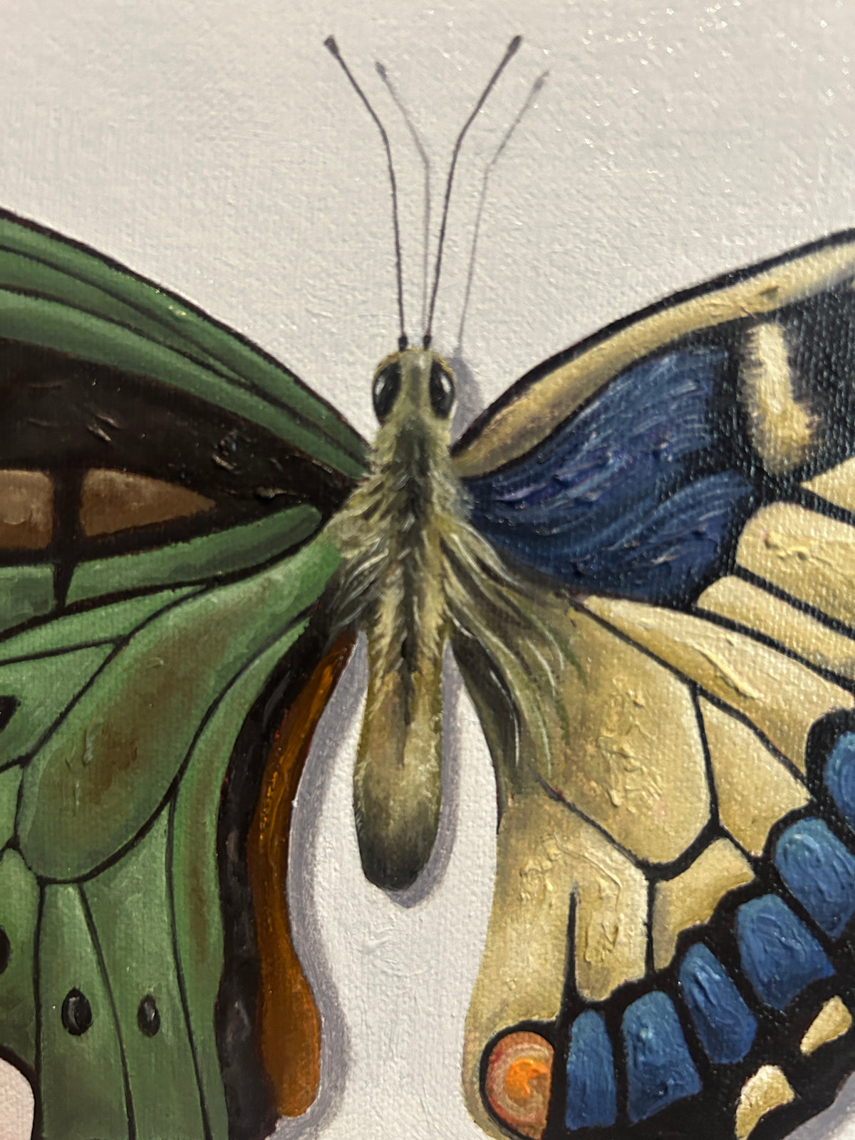 Mariposas