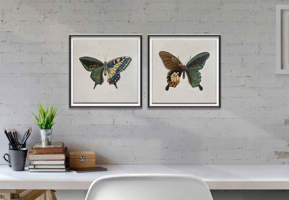 Mariposas