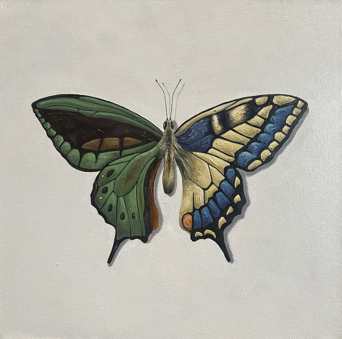 Mariposas